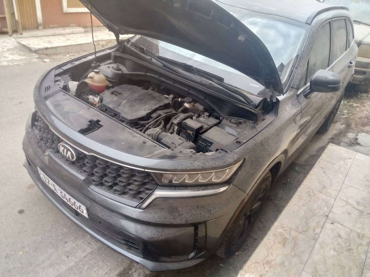سورنتو موديل 22 وارد امريكي حادثها جاملغ وبنيد مبدلات بدون ضرر داخلي برانكيت فخذه مكفولات لونها برونزي ايرباك ما طاك 7 راكب كشنات جلد تبريد تدفئه بالكشنات حاجب لد بصمه تحكمات حساسات رادار بلوتوث شاشه كبيره مكينه 2500 تيربو وهواي مواصفات بيها السعر 205 مبايل *********** بيع او مراوس بتاهو أو بيكب هايلوكس عنوانها ناصرية مركز
