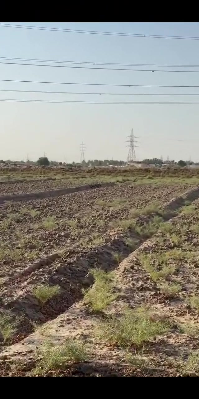 #الديوانية طريق الرائرين 
جبنالكم 7دوانم طابو صرف سعرها يخبل 
وكلش مناسب 
 للاتصال ‭***********‬
