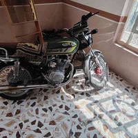 07702464936 ٹائیگر لاشرین 23