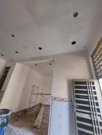 جص • ورق جدران • متفرغ