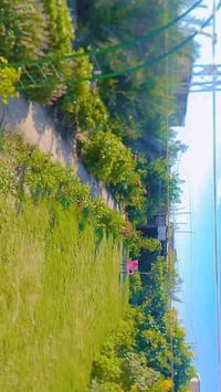 گاع السعدون • ٦٠٠م • طابو سند