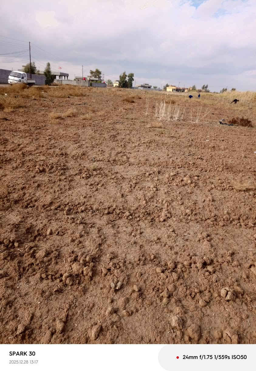 سلام عليكم ،،
ارض زراعيه للايجار مساحه سبعه دونم ،،
ومي وكهرباء موجود للاستفسار الاتصال على الرقم *********** مكان عشره تل عثمان ،
