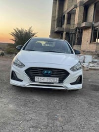 سوناتا • ٢٠١٩ • صبغ خلفي