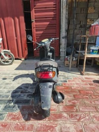 دراجه منغولي فحل للبيع مكينه ستندر علاوضع الشركه السعر ٣٥٠. ٠٧٨٠٧١٦٦٤٣...