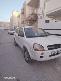 توسان • ٢٠٠٩ • أربيل