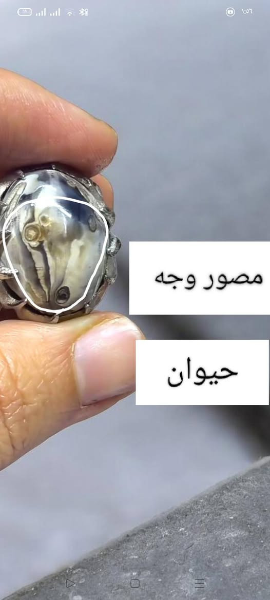 حجر داوودي مصور رباني راس فيل والخرطوم مالته ومصور وجه حيوان شرط حجره طبيعيه وأصليه صياغه روديوم مايتغير لونه ولايتأكسد روحانيه فول مال زماط ع النظره مشروط وباقي تفاصيله خاص يوجد توصيل جميع المحافظات


**إذا كنت صاحب هذا الإعلان وتريد حذفه لأي سبب، رجاءا أرسل رسالة إلى الدعم الفني**