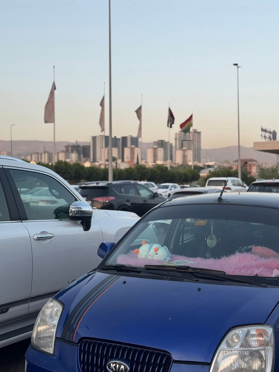 كيا بيكانتو ٢٠٠٧ رقم بغداد جديد🫰🏼 سنويه جديده مكينه ٤سلندر
كير اوتوماتيك  صدر أمامي وخلفي تخم كوله 
تاير و باتري كلها مكفوله عالفحص 🥰 سياره حلوه وشاشه كامره ويل كب 🙈 سعرها 55 ورقه وبيها مجال مال الجيه مكاني سليمانية  🤝 لا مراوس ولا قسط بيع مباشر فقط


**إذا كنت صاحب هذا الإعلان وتريد حذفه لأي سبب، رجاءا أرسل رسالة إلى الدعم الفني**