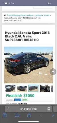 سبورت • وارد أمريكي • حرة باسم جاري