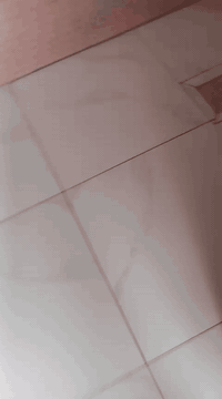 اسطة ابو عمر للسيراميك متفرغ شغل ليزر ونظام قفيص
*********** واتساب
*********** واتساب
