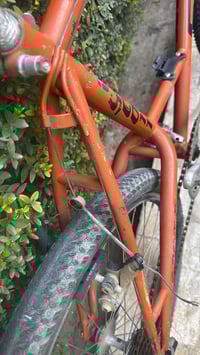 بسكليت • بغداد المنصور