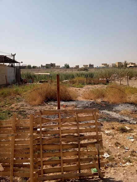 قطعه ارض زراعي سند 25 الشعب السريدات القديمه المربع الثالث شارع العام ليطلع عل الجزيرة ومنجهة لثانيه عل سيطرة الشعب المساحه 300 واجهة 14  ونزال 27 خدمات كامله  وسعر مناسب ولقطعه ركن عل شارعين ورقم ***********
