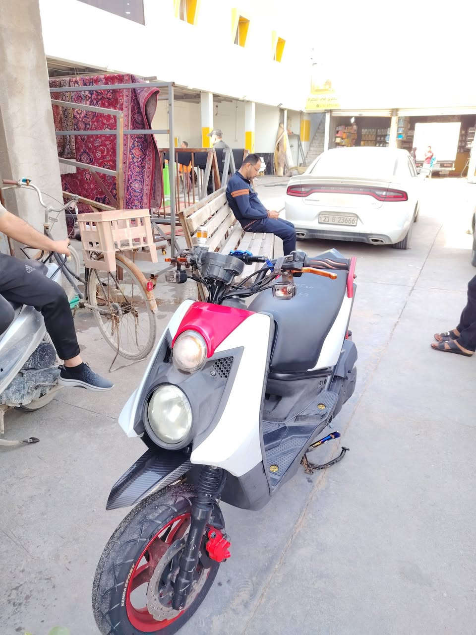 سكنس جبلي ياباني مكفولة رمبا مزودة بصرة ***********
