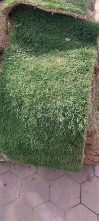 ثيل هندي • الدرجه الاولى • سلمان باك