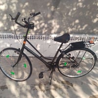 باسكل • مصبوغ • للبيع