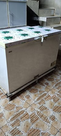 مجمدة • حجم كبير • بلادي