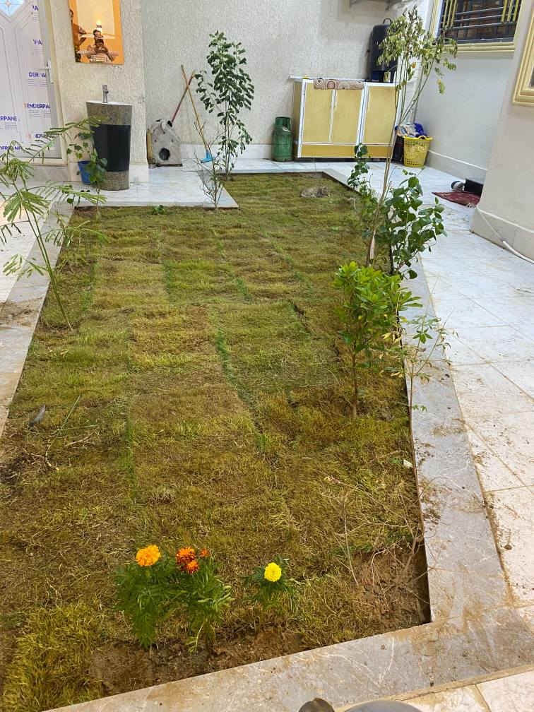 🌿✨ Al-Amry Landscape ✨🌿

نحوّل المساحات العادية إلى حدائق تنبض بالجمال والحياة 💚
تصاميم عصرية تجمع بين الذوق الهندسي والطبيعة الساحرة 🌺

🔹 تصميم وتنفيذ حدائق منزلية
🔹 حدائق الشركات والمجمعات
🔹 تنسيق حدائق المدارس والجامعات
🔹 تصميم جلسات خارجية (Outdoors)
🔹 زراعة الثيل والنباتات وتنسيق كامل للمساحات

👨‍🌾 بإشراف:
المهندس الزراعي عبد الحسن محمد العامري

💡 دقة بالتنفيذ + أفكار إبداعية + جودة عالية

📩 للتواصل والحجز:
***********

🌱 خلي حديقتك تحچي عن ذوقك… وإحنا نحقق الحلم 💫 البصرة, العراق
