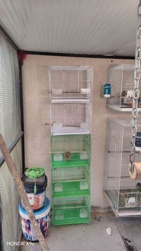 خانات ترهم ماال فناجس غندور مع بيوت تكاثر ومنهل ماء كامل البيع شلع ٦ خ...