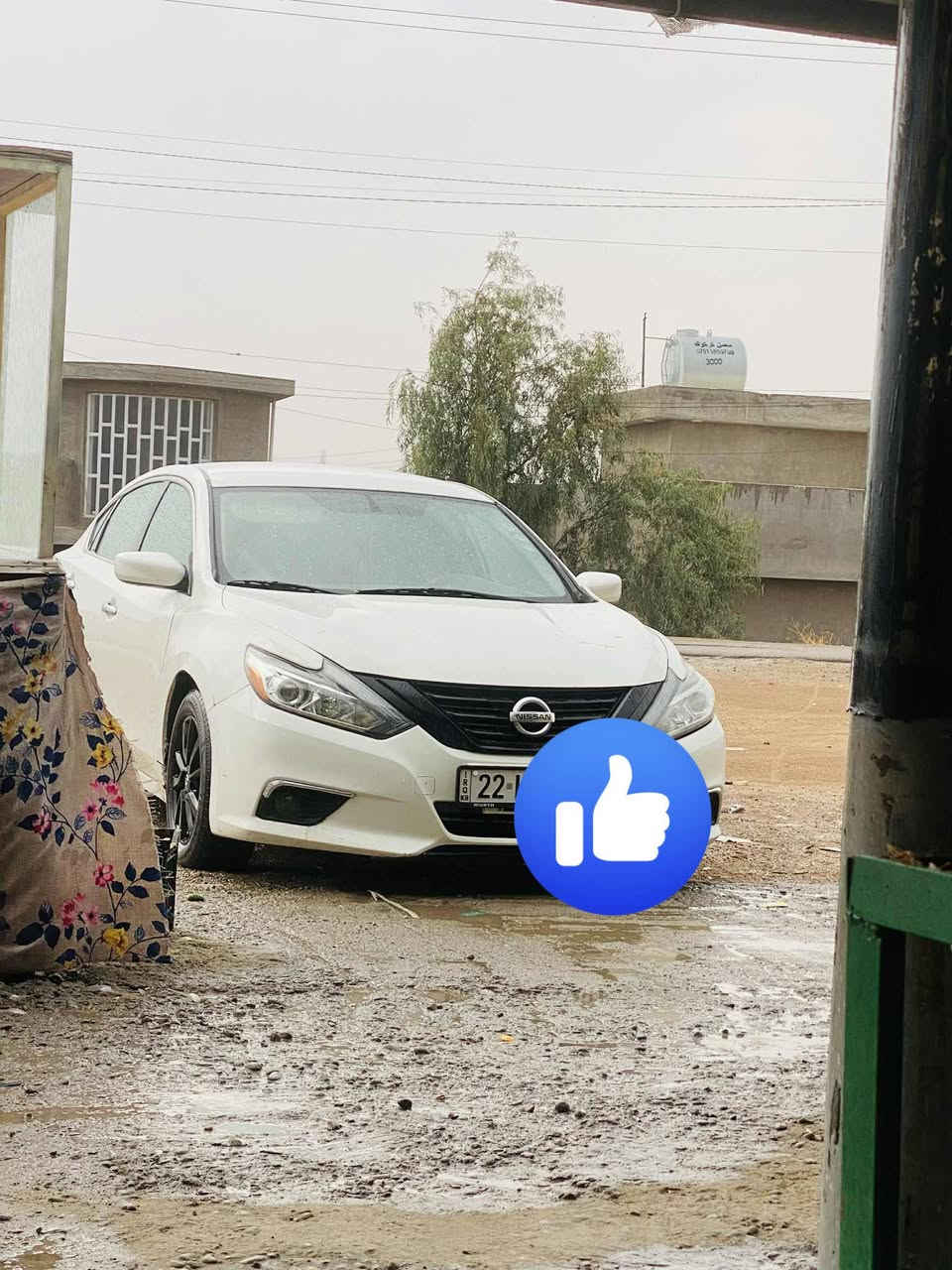 بسم الله الرحمن الرحيم
نيسان التيماا 2017 

رقم شمالي 
فئه S 
بصمه 
مانع نزلاق 
بصمت ابواب 
بصمت صندوك 
تحكامات سترين 
كشن كهربائي
الضرر// جاملق خلفي يم جهت سايق صبغ فوك هلال فقط 
جاملع الامامي تبديل بدون ضربه 
باقي كفاله 
مكاني : الانبار فلوجه صقلاويه 
سعر خاص
اثير واتساب خط : ‭***********
كورك ***********
