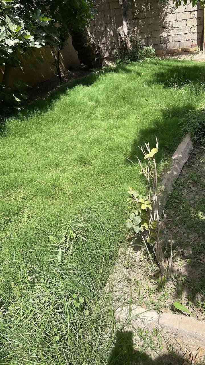 عمل حدائق منزليه ب اسعار مناسبه
رفاس تعديل زرع ثيل زرع ورد
رفاس جوه


**إذا كنت صاحب هذا الإعلان وتريد حذفه لأي سبب، رجاءا أرسل رسالة إلى الدعم الفني**