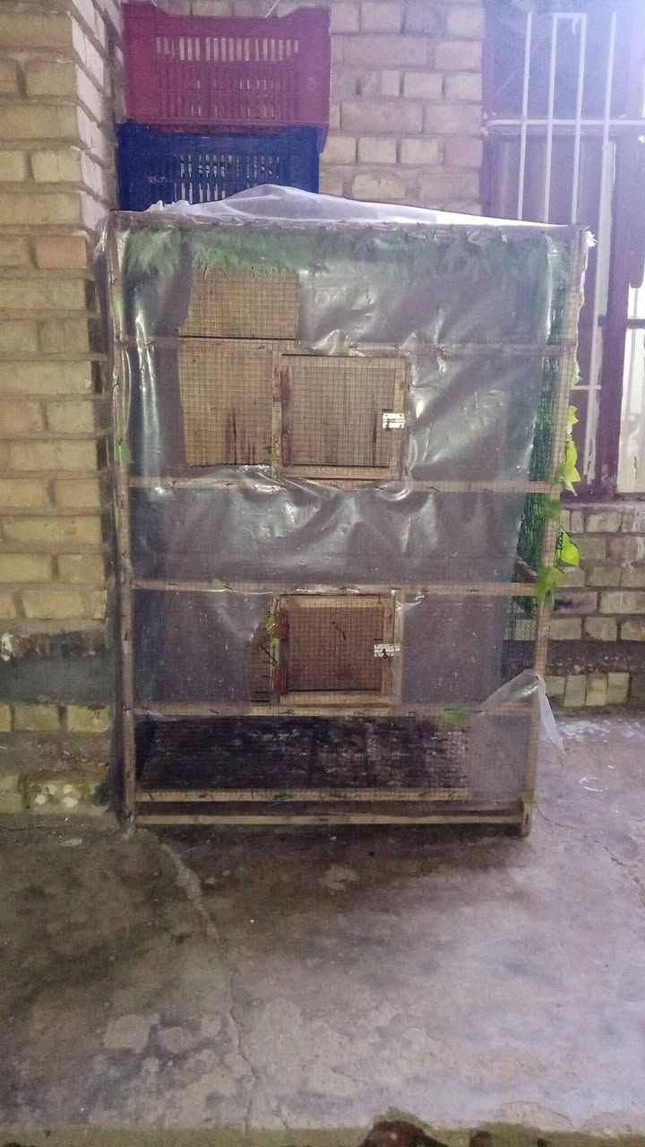 السلام عليكم عندي قفاص دجاج للبيع


**إذا كنت صاحب هذا الإعلان وتريد حذفه لأي سبب، رجاءا أرسل رسالة إلى الدعم الفني**