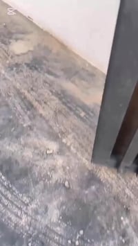 كركوك كرامة • ١٣٨م • ٣نوم