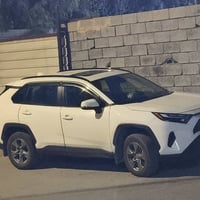 رافور • ٢٠٢٤ • بلادي بالامارات