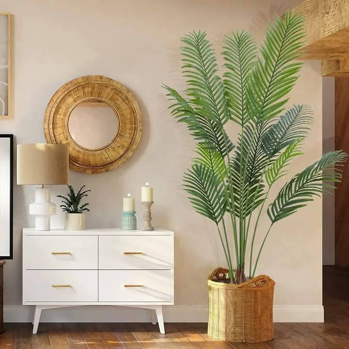 شجرة نخلة ارتفاع ( مترين و 20 سم )
عملاقة وورقها مثل الطبيعي
التفاصيل داخل الصور متوفر قطعتين


**إذا كنت صاحب هذا الإعلان وتريد حذفه لأي سبب، رجاءا أرسل رسالة إلى الدعم الفني**