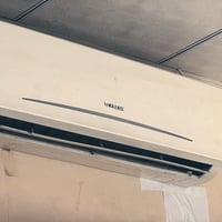 سبلت • ٢ طن • فريش