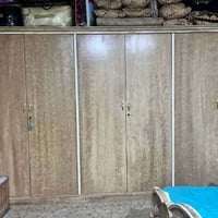 كنتور • تركي • للبيع