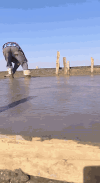 قالب درجة أولى • صب كونكريت • الطوبة النخيله