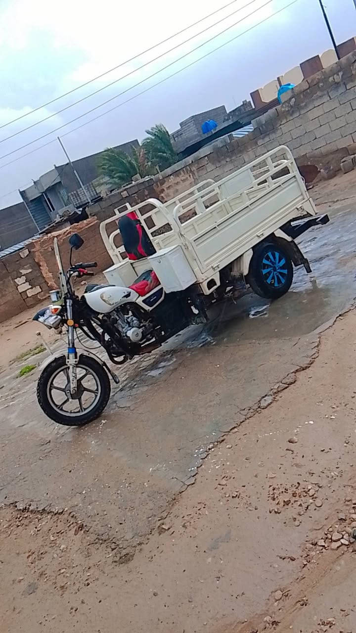 ستوته ام الطير مديل 18 حلوه ونضيفه اوراق كامله خير من لله رجان لمو شراي لايبزعني لن محتاج وريد ابيع سعر 1300وبيهه مجال قليل رقم *********** مامتواجد خاص
