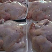 دجاج حي محلي ٣٥٠٠  سمك حي تازه ٥٥٠٠  متوفر افخاد اجنحه صدر مسحب ومثروم...