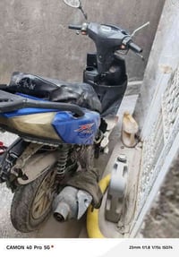 دراجة سيام • محتاجه تجفيت • نجف شارع المطار