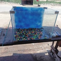 حوض سمك • ماطور اوكسجين • ماطور تدفئة
