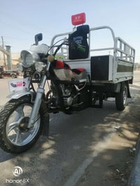 ستوته • ٢٠٢٢ • اوراق كاملة