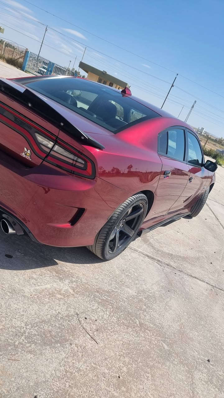 للبيع دوج جارجر سكات باك 2020 V8 / 6400 ماشية 51.000 ميل حادثها فقط الدعامية بدون ايرباك و بقية كشر السيارة كفالة لابارد ولا تعديل و بدون قطرة صبغ كير مكينة ستوك على بلاد ما ملعوب بيها و كفالة كير و المكينة لا داخل دراكات ولا استعراضات مستوردها على ايدي ٢٠٢٢/١٠ مواصفاتها واضحة شاشة جبيرة و كشن هيتر و ستيرن هيتر شفتات ستيرن و غيرها مزروع عليها لايت دبل عدسة و زينون يم شاهين لايت بكركوك معروفة و مسويلها دوشمة كاملة باربيل يم صباح سبورت  و مخليلها كامل كماليات و مخليلها خلفيات ام الريمونت شايل الكارت مالتها و امرجع الوسطانيات البلادية علمود الهزة  و الكارت باقي اي وكت تريدها ترجعها اللي يحب الطرب اقل من شهر سويت كامل الحدادية للي بي عيب و للي مابي عيب غيرتها  صارف عليها و مهتم بيها هواي و كلشي واضح بالصور مرفق وياها صور الحادث مطلوب 245$ و بيها مجال العنوان كركوك


**إذا كنت صاحب هذا الإعلان وتريد حذفه لأي سبب، رجاءا أرسل رسالة إلى الدعم الفني**