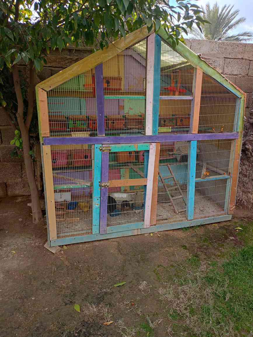 السلام عليكم قفص طيور الحب نظيف كلش قياس ٢متر ×٢متر
جاهز خشب بلوك وبراغي مو مسمار مشبك اصلي ضد الزنجار ٢٠ بيت مراجيح ودولاب الهواء طاسات ماء واكل تايرات بي سهلة الحركة الزعفرانية استفسار ***********
