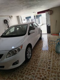 كورولا • بدون صبغ • كركوك