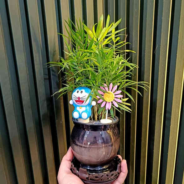 توفرت يمنا
نباتات مائية سهلة العناية
قطع تخبل 
والسعر 
9000 فقط
اراليا
باشيرا
كالاثيا
شمدورا

عدد القطع محدود 
سارع بالحجز قبل نفاء الكمية

يوجد توصيل داخل الموصل 
ولجميع محافظات العراق 

للطلب والاستفسار مراسلة 
رقم الواتس اب 
***********

#برعم
#برعم_للنباتات_المنزلية
#برعم_نباتات_مائية
#نباتات_مائية
