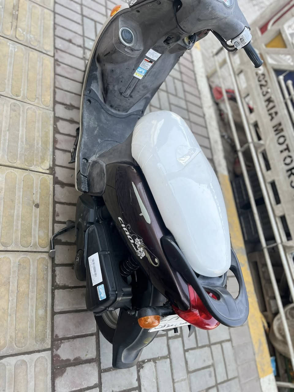 سلام عليكم دارجه فله دراجه زيرو ما مفتوحه لا نضوح لا تبخير نكره سله كل لوقات السعر 900وبهة مجال حك لجيه العنوان بغداد مدينه لصدر لستفسار ***********
