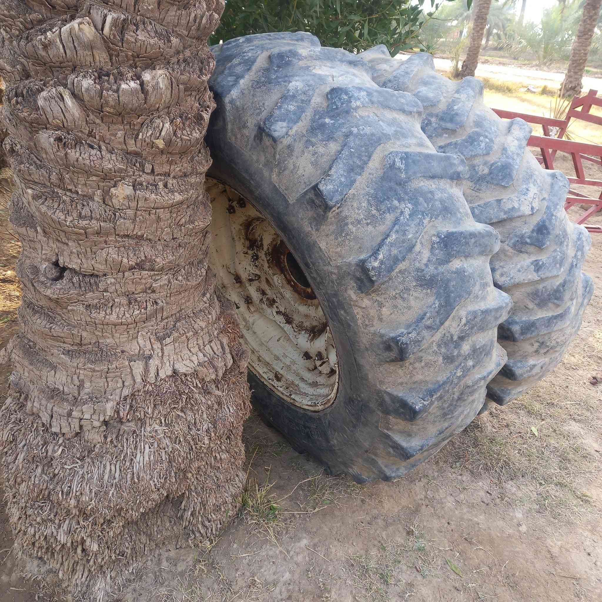 تايرات فيات ١١٠ هنه وويالتهن حجم ٣٤  السعر ٧٥٠ وبيهن مجال  مشدودات جوبلس  ***********
