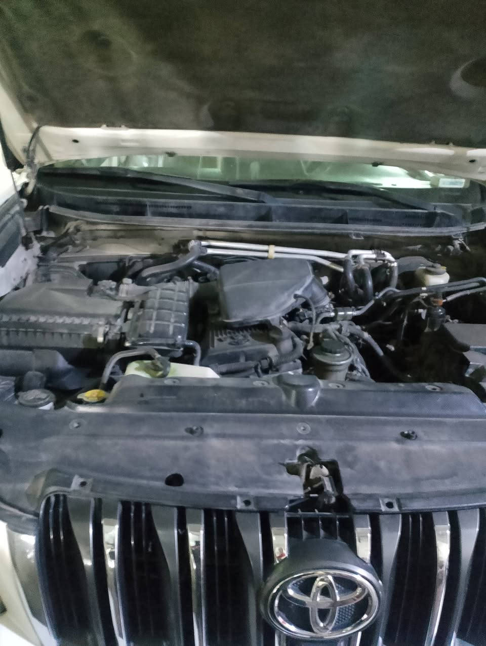 سلام عليكم من رخصت الادمن
برادو 2010
4سلندر(2700)
TXL
سياره بدون صبغ ولا حادث شرط تاخذ علئ سونار 
3قطع تبريد 
7راكب
سبير تعليك
سياره مال بيت
مكان سياره بغداد 
السعر 
21500وبيها مجال 
متواجد واتساب 
***********
