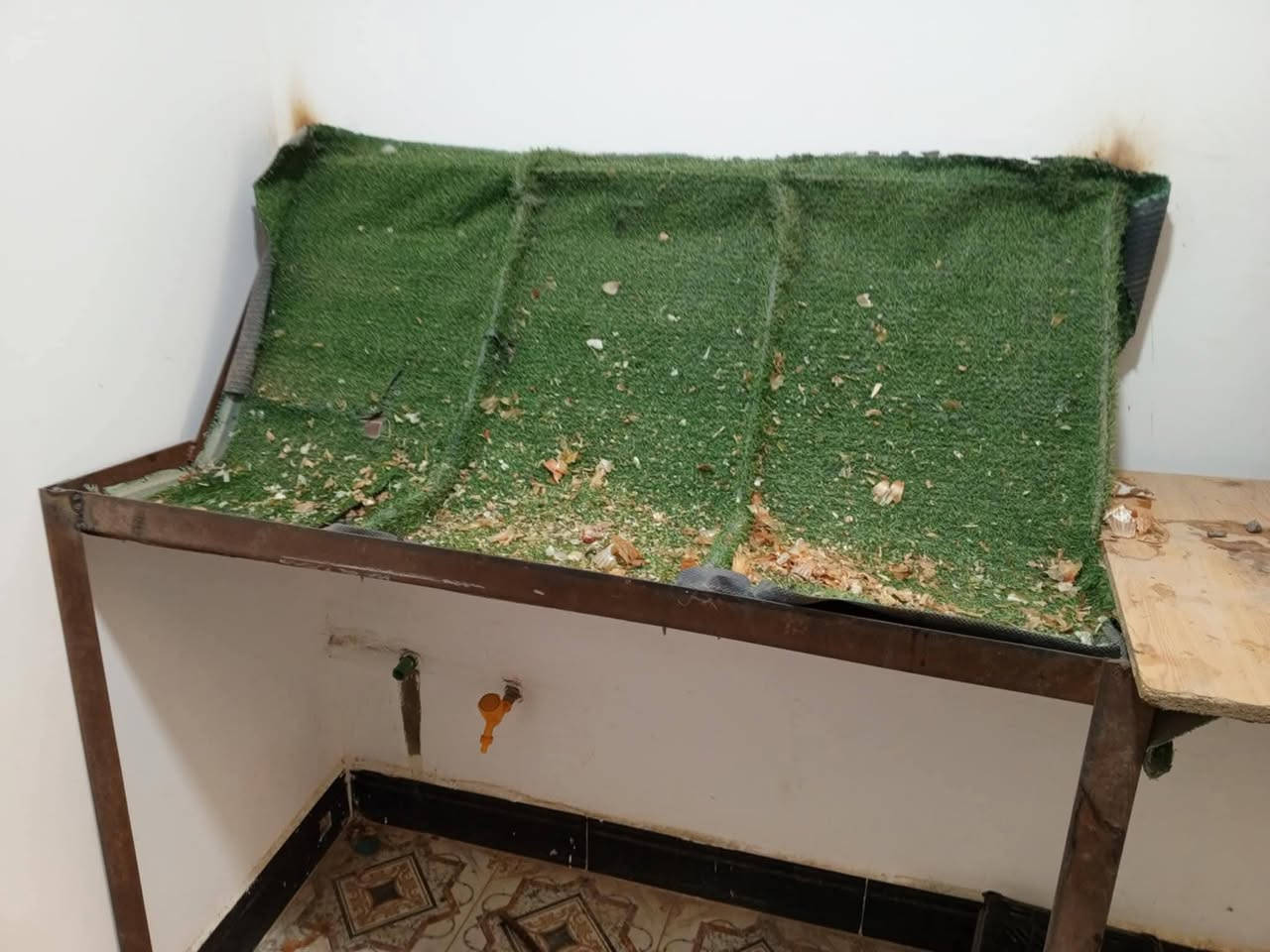 متاح ميوزه مخظر للبيع
***********
