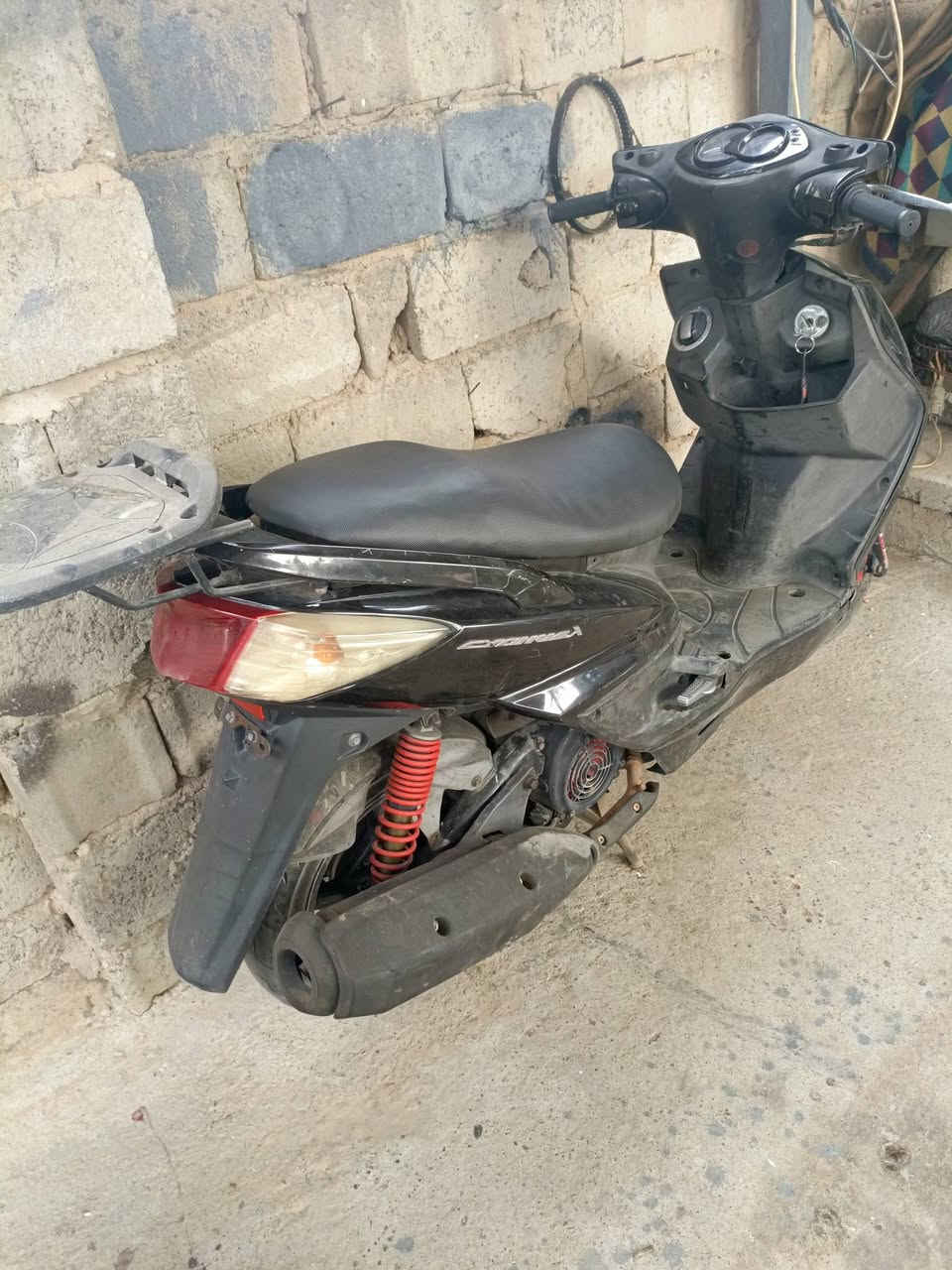 فحل ياباني للبيع استفسار واتساب ***********بغداد
