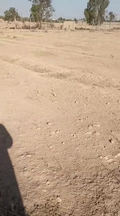 قطعة ارض زراعية ركن للبيع

العنوان: راوه حي الزيتون (ابو كوه)

المساحة: 2700 متر مربع

 تحتوي على بير مدفونه بتراب حاوي مسيجة جهتين

 السعر: 8.500,000  قابل للتفاوض

للاستفسار الاتصال على ***********/***********
او مراجعة المكتب في راوه الجديده داخل السوق الاصفر

