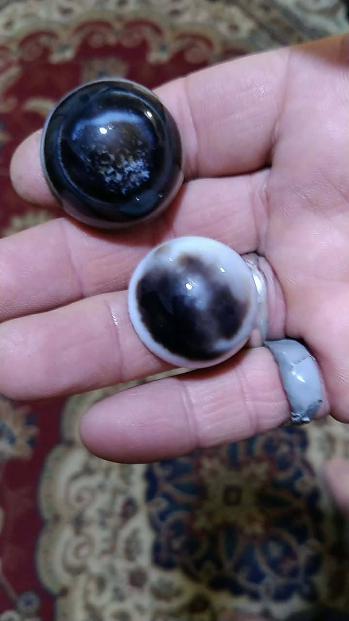 مساء خير
لبيع


**إذا كنت صاحب هذا الإعلان وتريد حذفه لأي سبب، رجاءا أرسل رسالة إلى الدعم الفني**