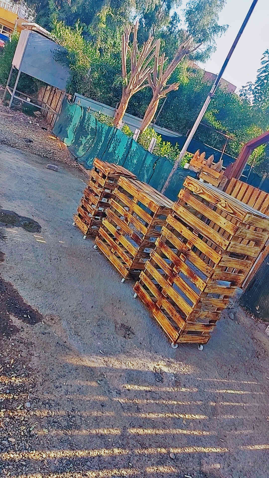 شوینی بتڵی زاز بەجوانترین شیوە بەڕەفەوەو بی ڕەف کەلار***********
