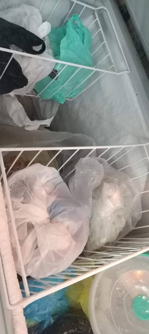 مجمده 250 ثلاجه 300 بيهم مجال بيع مستعجل على الفحص


**إذا كنت صاحب هذا الإعلان وتريد حذفه لأي سبب، رجاءا أرسل رسالة إلى الدعم الفني**