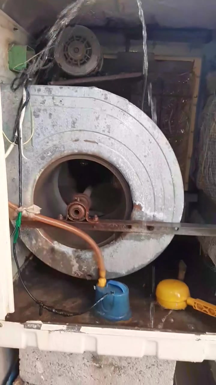 المكان الكماليه الاستفسار بالفديو


**إذا كنت صاحب هذا الإعلان وتريد حذفه لأي سبب، رجاءا أرسل رسالة إلى الدعم الفني**