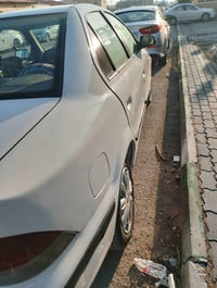 سمند • ٢٠١٠ • رشات صبغ